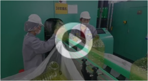 Flande Machinery Co., Ltd. High-speed all-electric oil bottle blowing machine